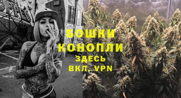 соль ск Абаза