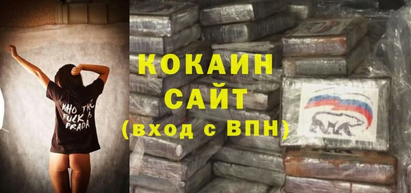 соль ск Абаза