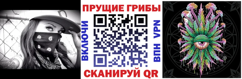 Псилоцибиновые грибы Cubensis  Нижнекамск 