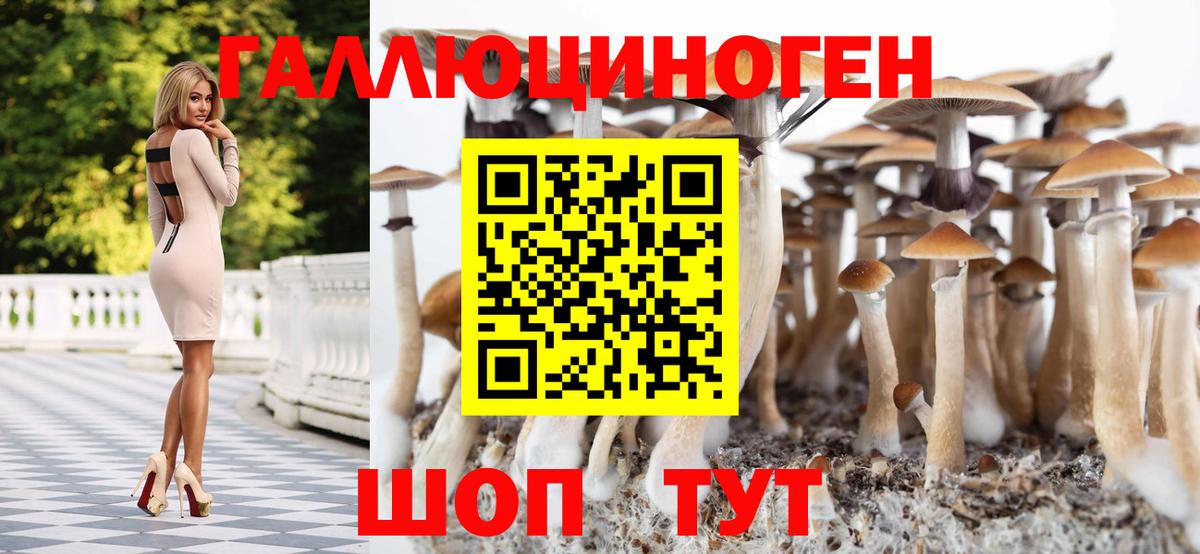 Галлюциногенные грибы Psilocybine cubensis  Вход с VPN  закладка  Нижнекамск 